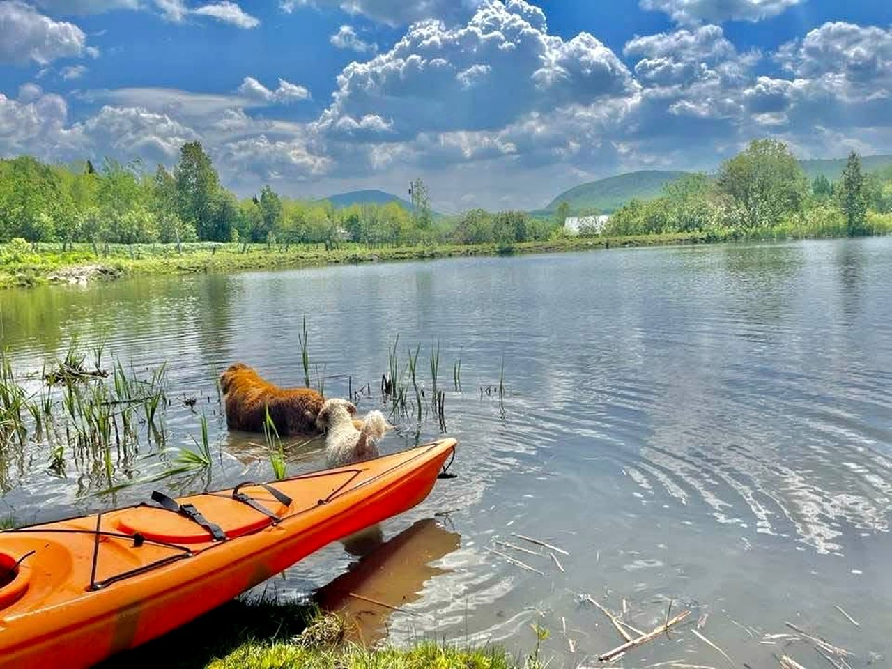 Cozy Off-Grid Cabin with Breathtaking Serene Views for a Peaceful Getaway Surrounded by Nature in Barton, Vermont