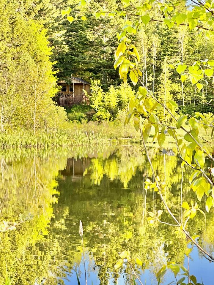 Cozy Off-Grid Cabin with Breathtaking Serene Views for a Peaceful Getaway Surrounded by Nature in Barton, Vermont