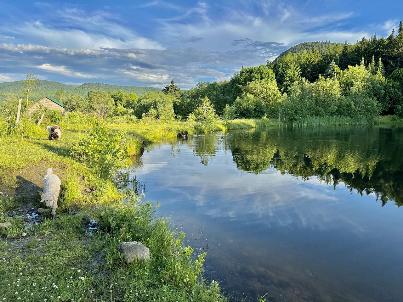 Cozy Off-Grid Cabin with Breathtaking Serene Views for a Peaceful Getaway Surrounded by Nature in Barton, Vermont