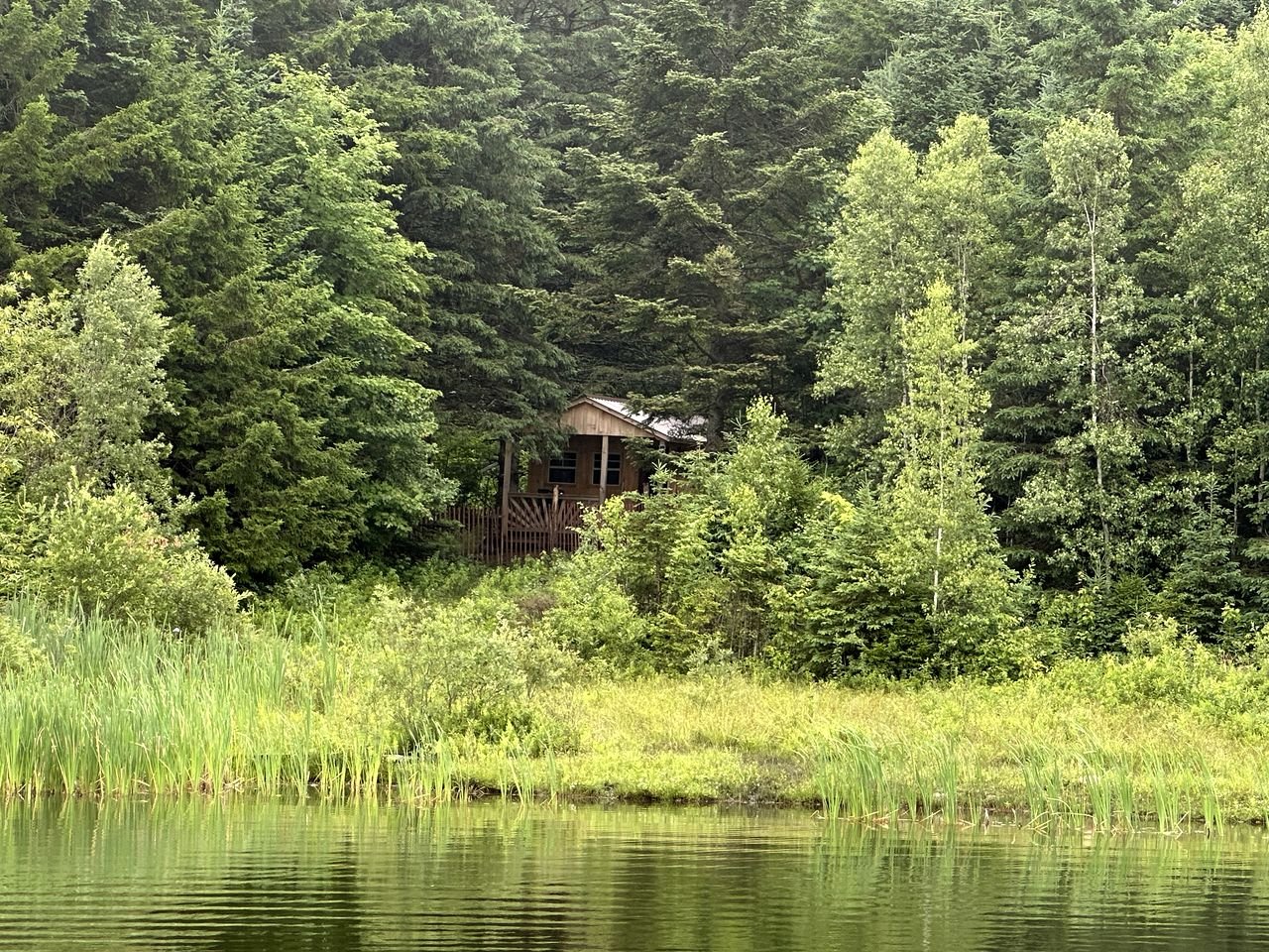 Cozy Off-Grid Cabin with Breathtaking Serene Views for a Peaceful Getaway Surrounded by Nature in Barton, Vermont