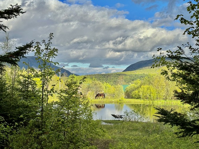 Cabins (United States of America, Barton, Vermont)