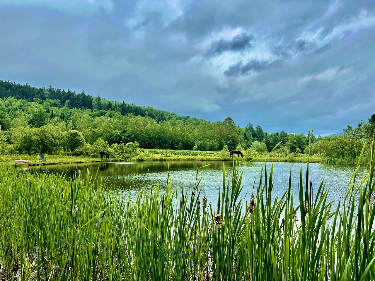 Cozy Off-Grid Cabin with Breathtaking Serene Views for a Peaceful Getaway Surrounded by Nature in Barton, Vermont