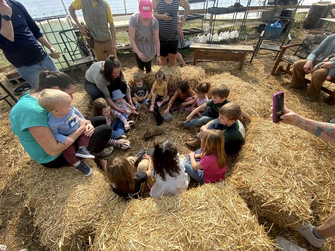 Tented Cabins (United States of America, Old Fort, Tennessee)