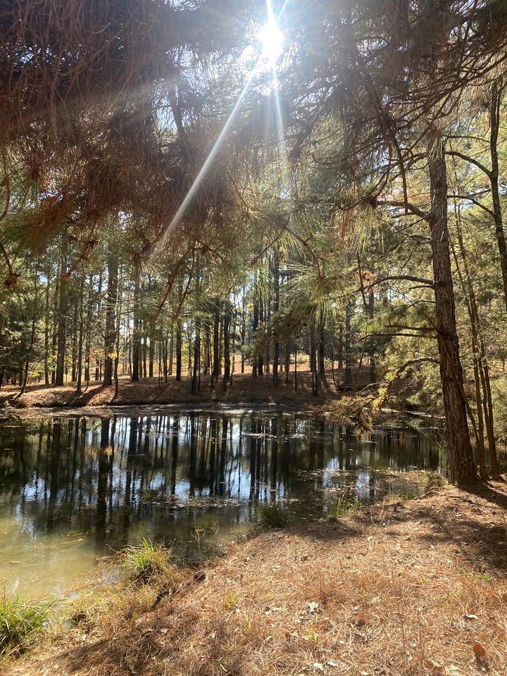 Cozy Canvas Glamping Cabins with Forest Views & Stargazing near Waterfalls in Old Fort, Tennessee