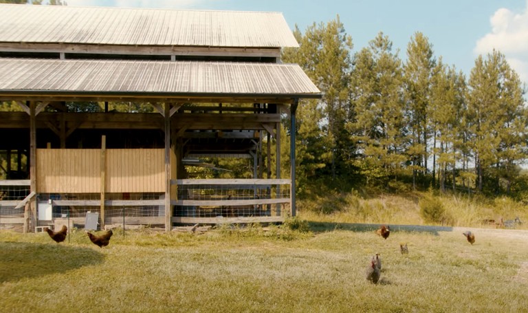 Tented Cabins (United States of America, Old Fort, Tennessee)