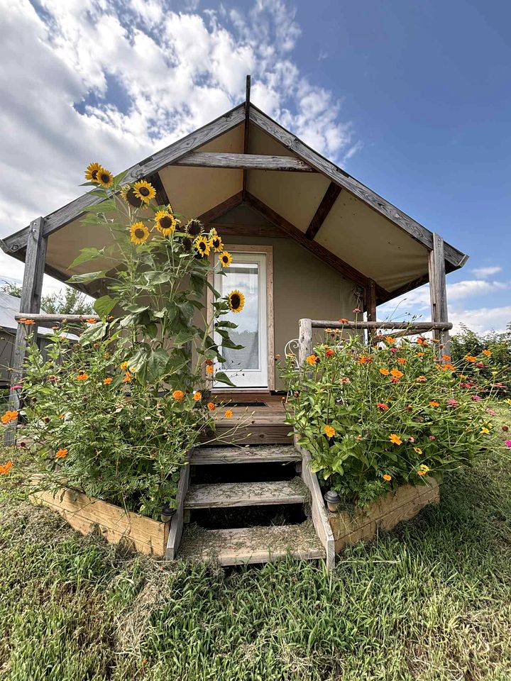Cozy Canvas Glamping Cabins with Forest Views & Stargazing near Waterfalls in Old Fort, Tennessee