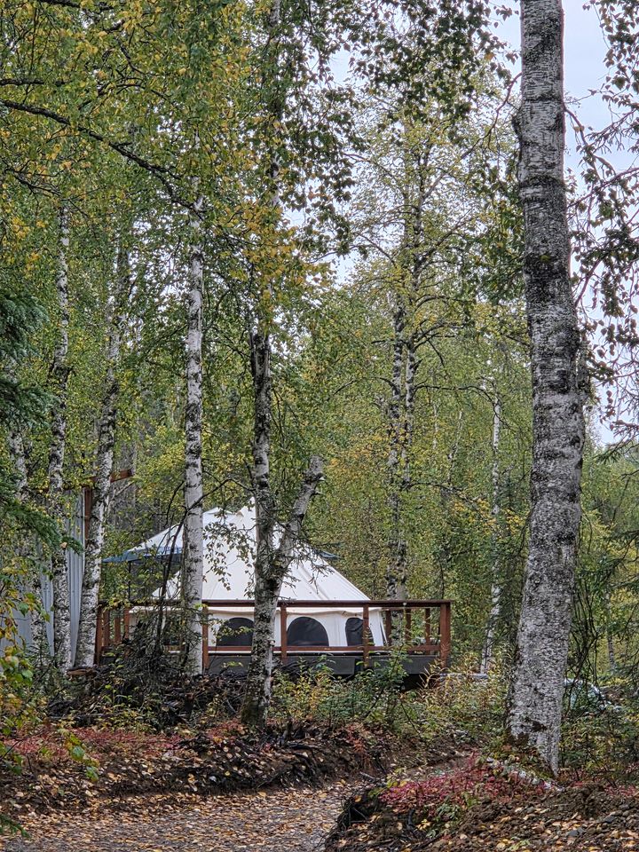 Cozy Bell Tent at an Adults-Only Boutique Outdoor Retreat near Talkeenta, Alaska