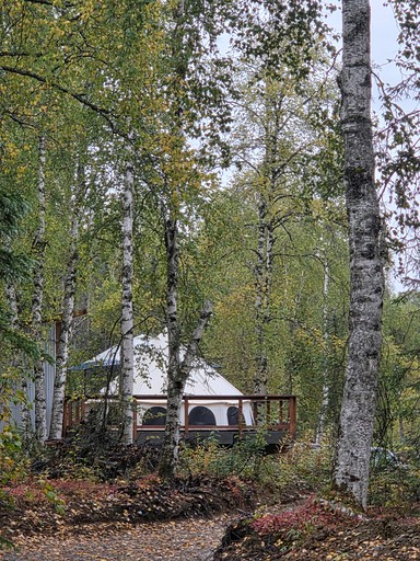 Cozy Bell Tent at an Adults-Only Boutique Outdoor Retreat near Talkeenta, Alaska
