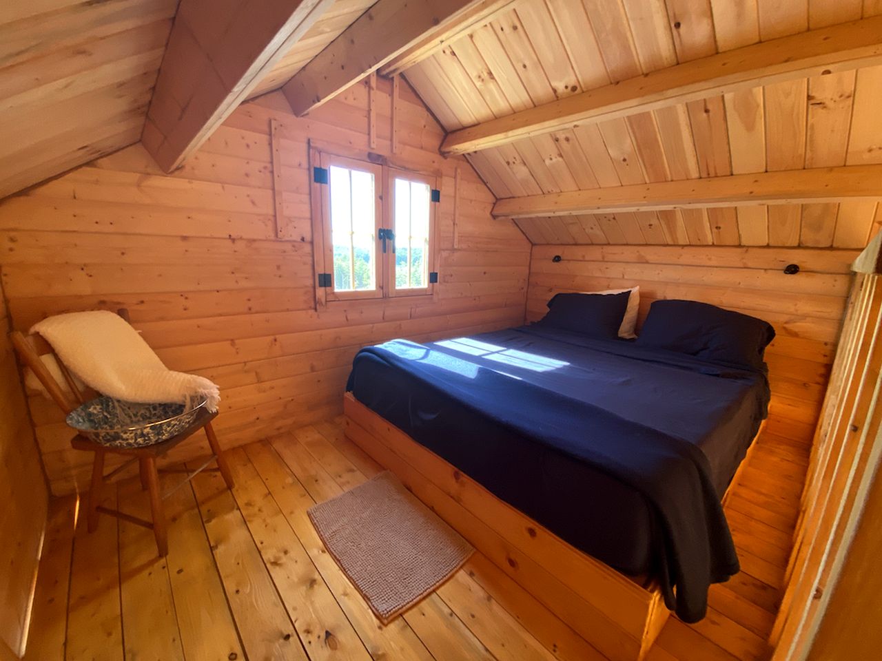 Cozy Off-Grid Cabin Surrounded by Trees with an Incredible View of Buck Lake in Perth Road, Ontario