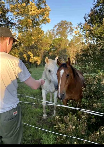 Caravans (Australia, Oakdale, New South Wales)
