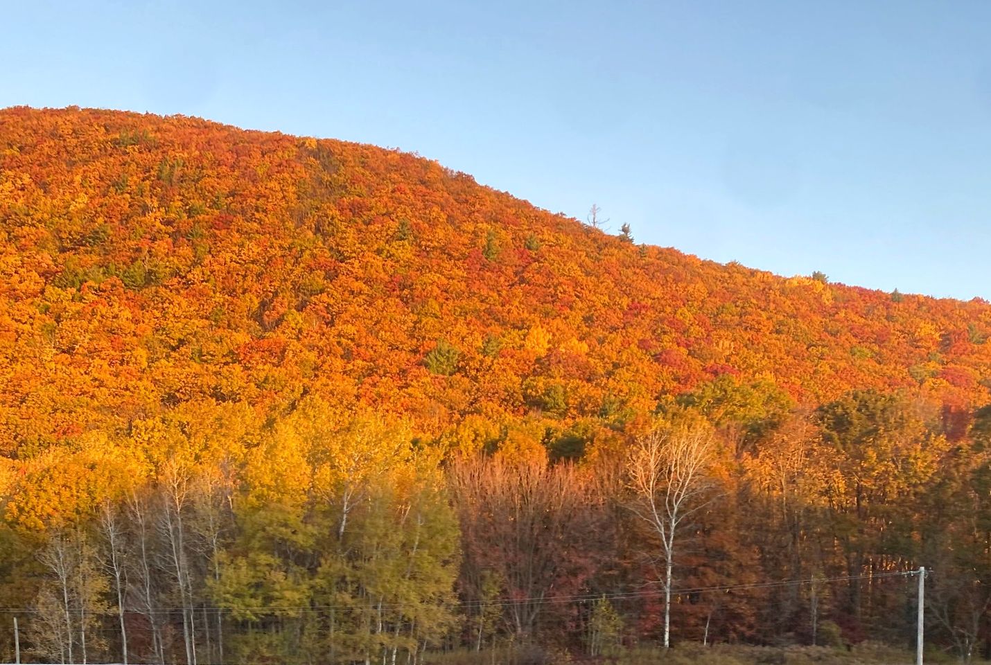 Rustic Safari Tent on a Wonderful Farm Surrounded by Nature for an Amazing Glamping Experience in Otego, New York