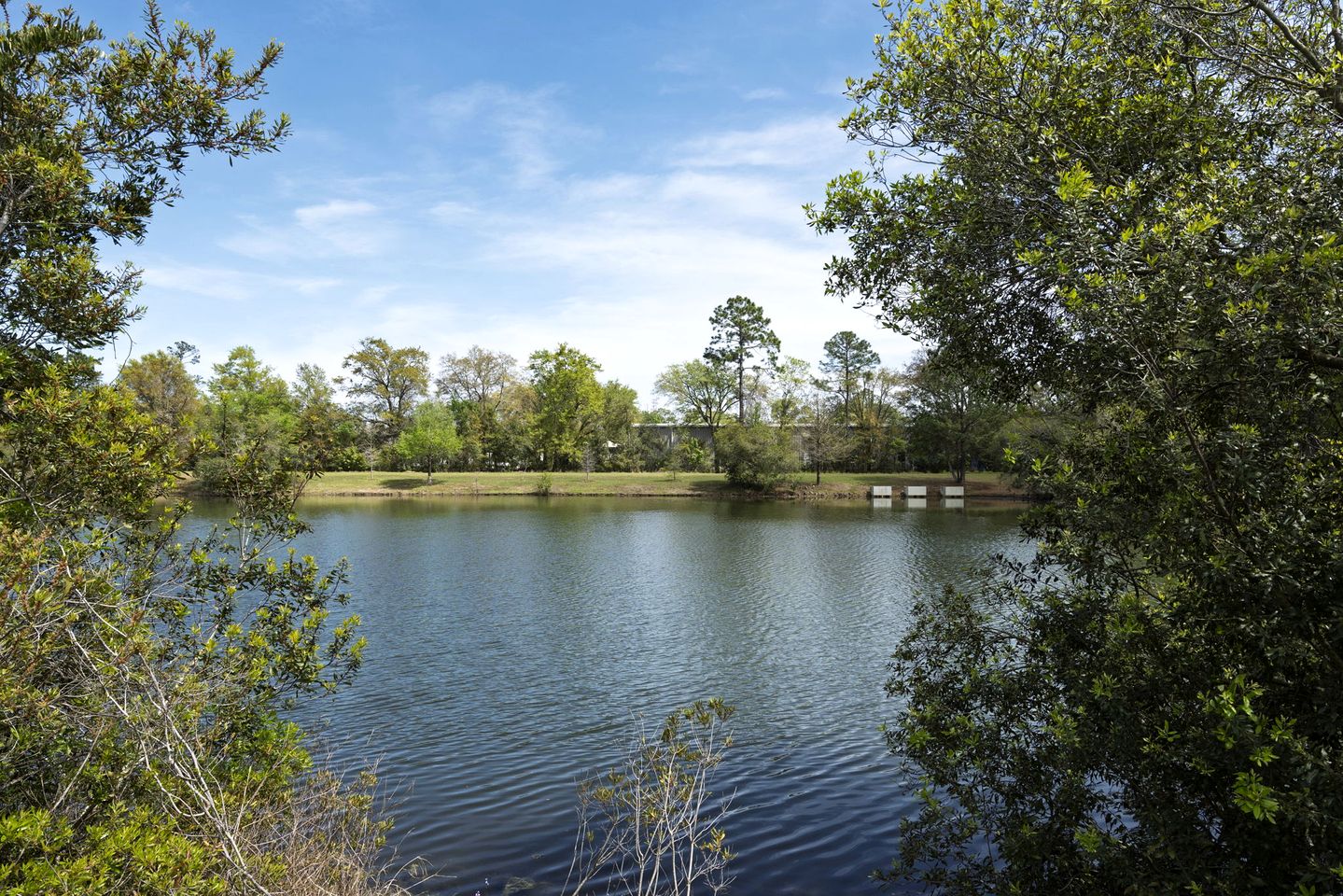 Charming Tiny House Next to Pond in Jacksonville, Florida