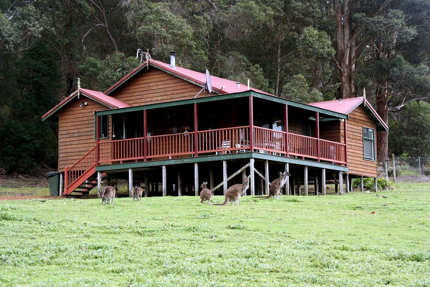 Amazing Spacious Cabin Surrounded by Old-Growth Forest for a Peaceful Escape in Walpole, Western Australia