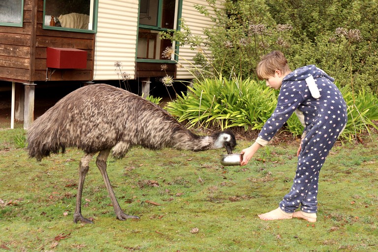 Cabins (Australia, Walpole, Western Australia)