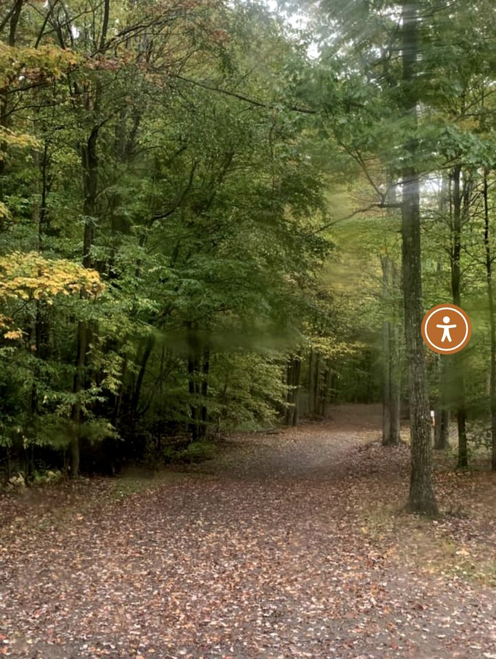 Relaxing Cabin with Barrel Sauna and Fire Pit for a Memorable Getaway in Nature in Wellsboro, Pennsylvania