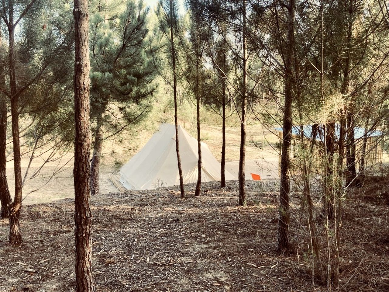 Peaceful Secluded Bell Tent for a Relaxing Romantic Escape near Rogil, Portugal