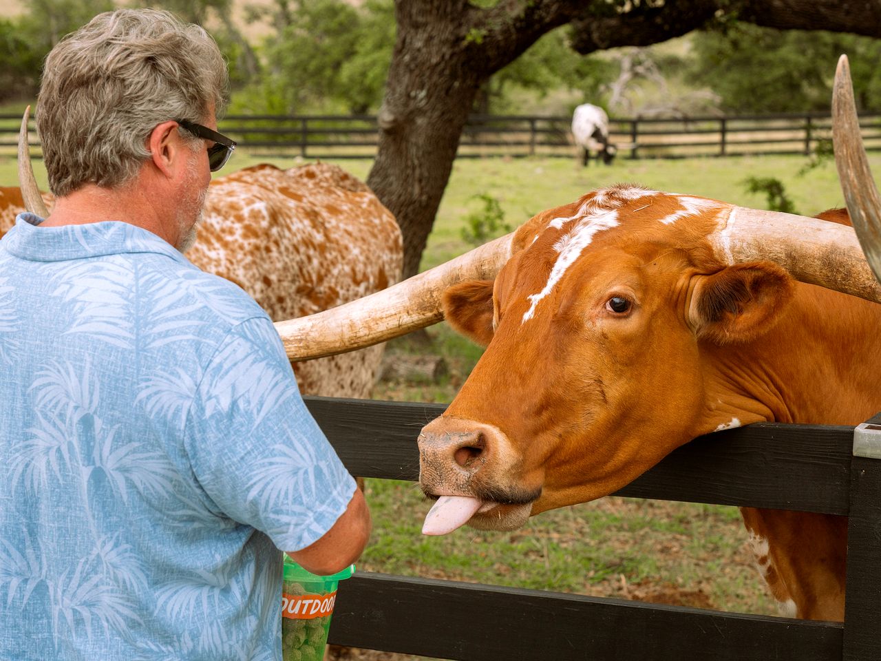 Incredible Glamping Lodge with Spacious Lounge and BBQ on the Wrap-Around Deck in Stonewall, Texas