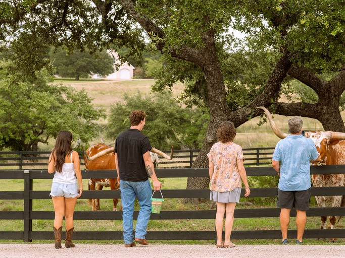 Tented Cabins (United States of America, Stonewall, Texas)