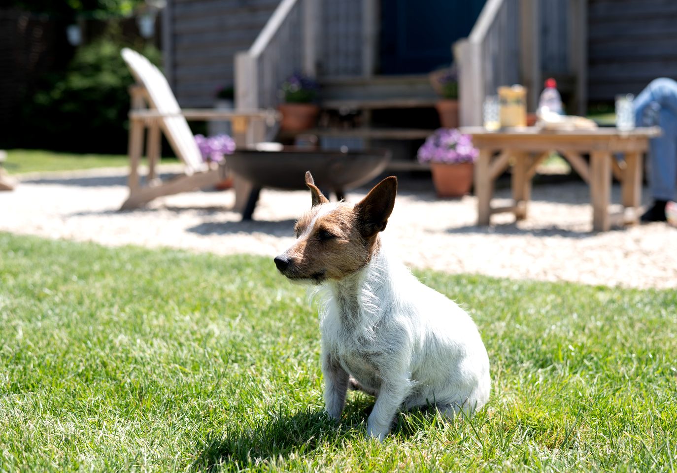 Gorgeous Dog-Friendly Shepherd's Hut with Breathtaking Views of the Somerset Levels near Langport, England