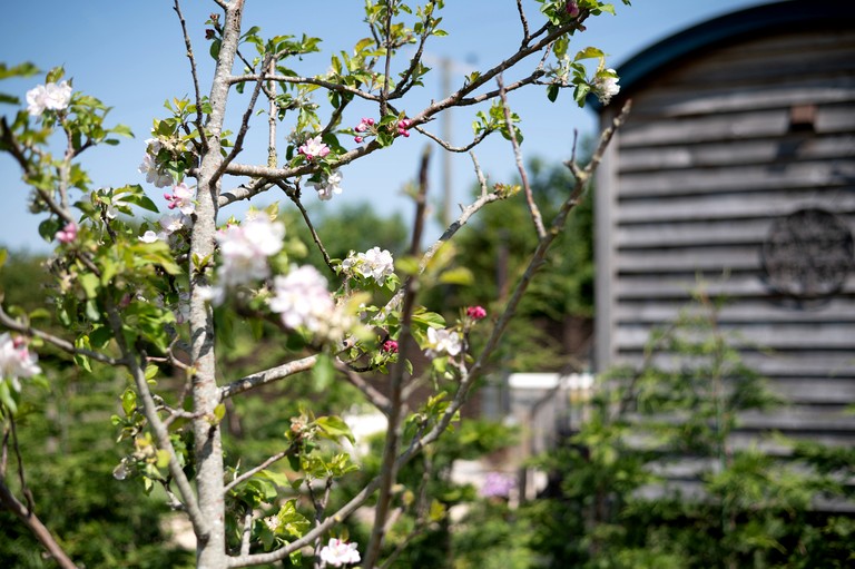 Huts (United Kingdom, Langport, England)