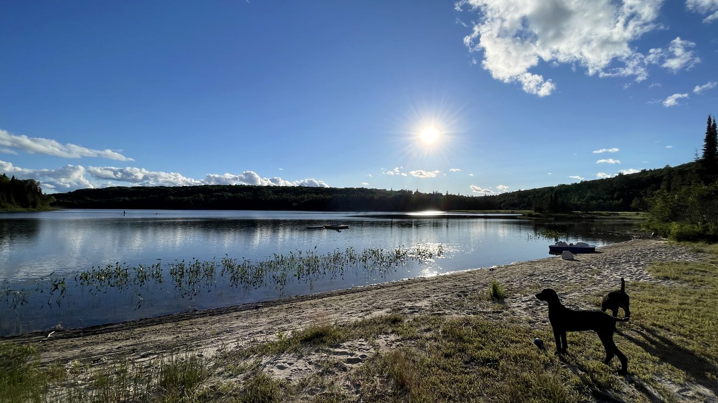 Beautiful Off-Grid Cedar Log Cabin Nestled in the Woods with Direct Access to Duncan Lake for an Unforgettable Getaway in Ontario