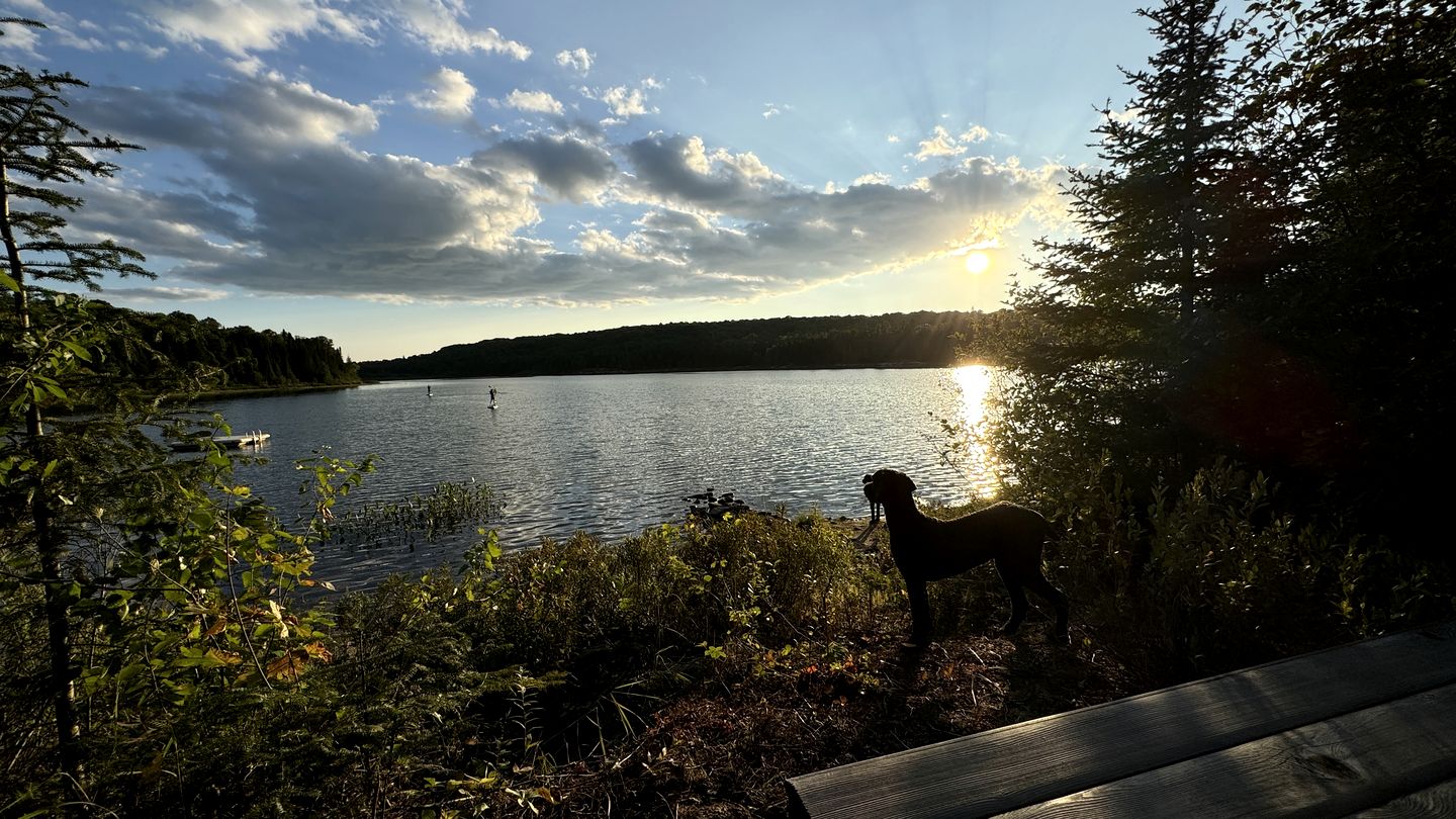 Beautiful Off-Grid Cedar Log Cabin Nestled in the Woods with Direct Access to Duncan Lake for an Unforgettable Getaway in Ontario