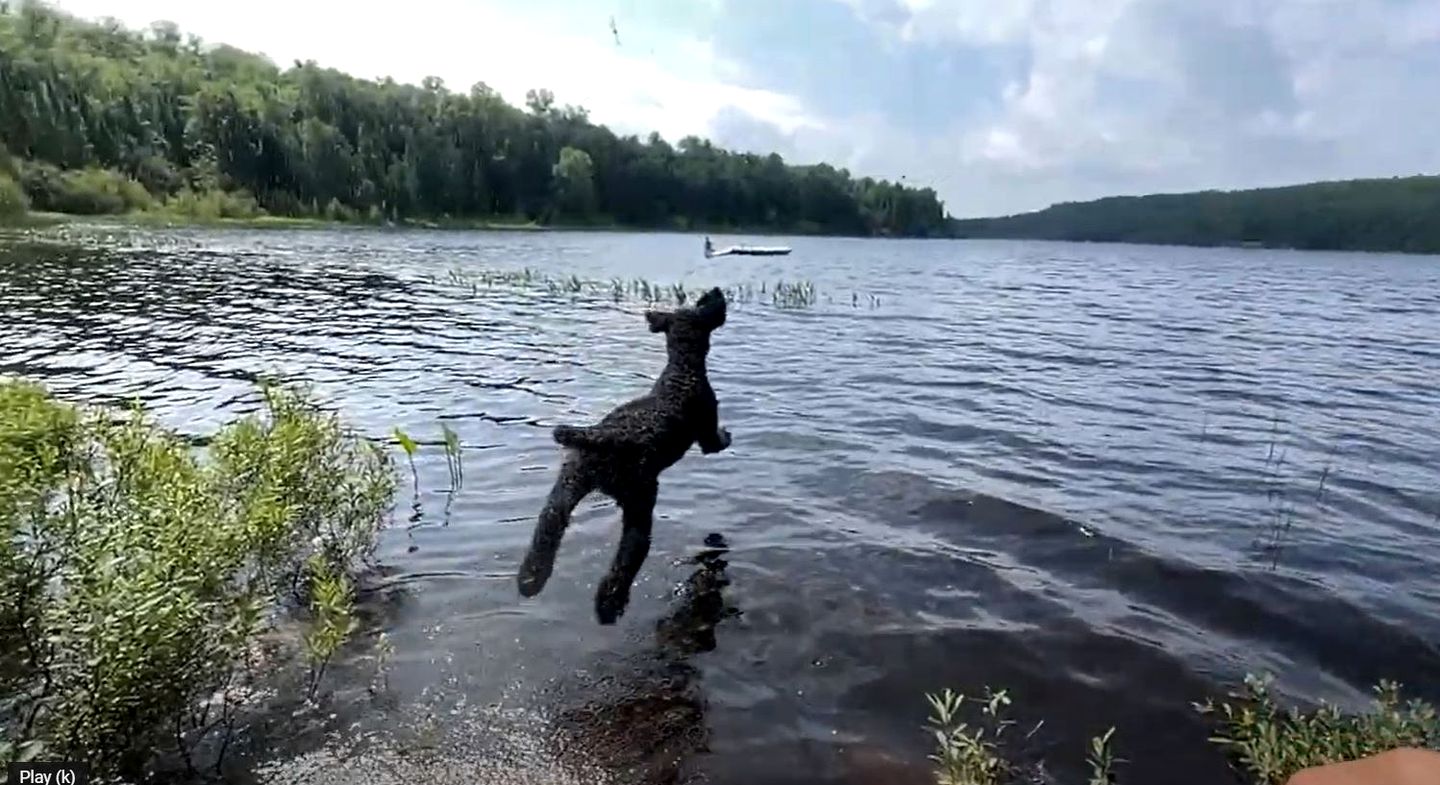 Beautiful Off-Grid Cedar Log Cabin Nestled in the Woods with Direct Access to Duncan Lake for an Unforgettable Getaway in Ontario