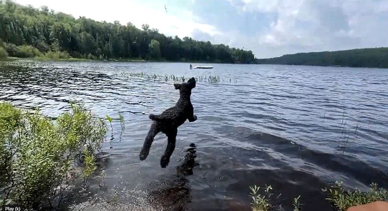 Cabins (Canada, Nipissing, Ontario)