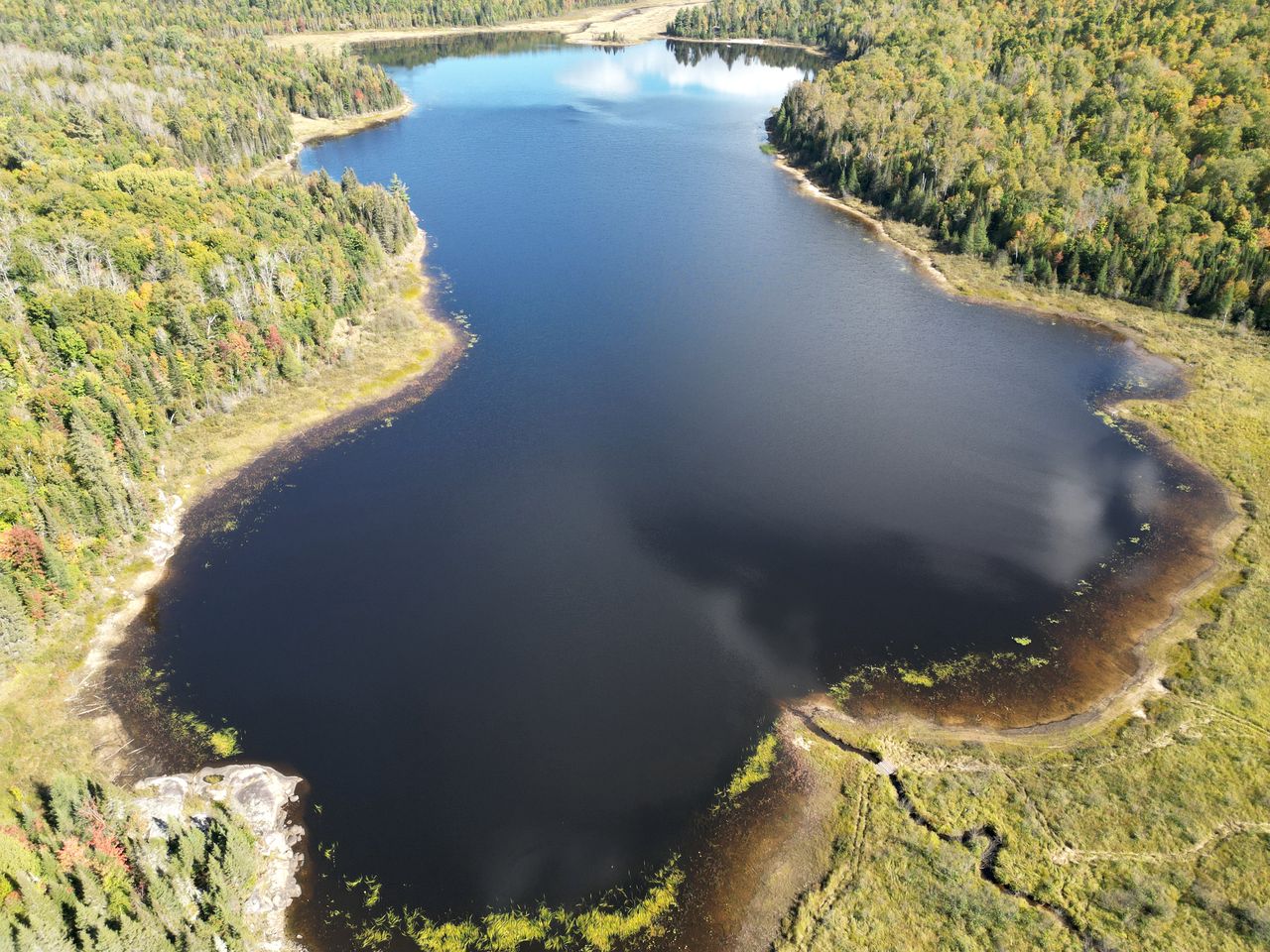 Beautiful Off-Grid Cedar Log Cabin Nestled in the Woods with Direct Access to Duncan Lake for an Unforgettable Getaway in Ontario
