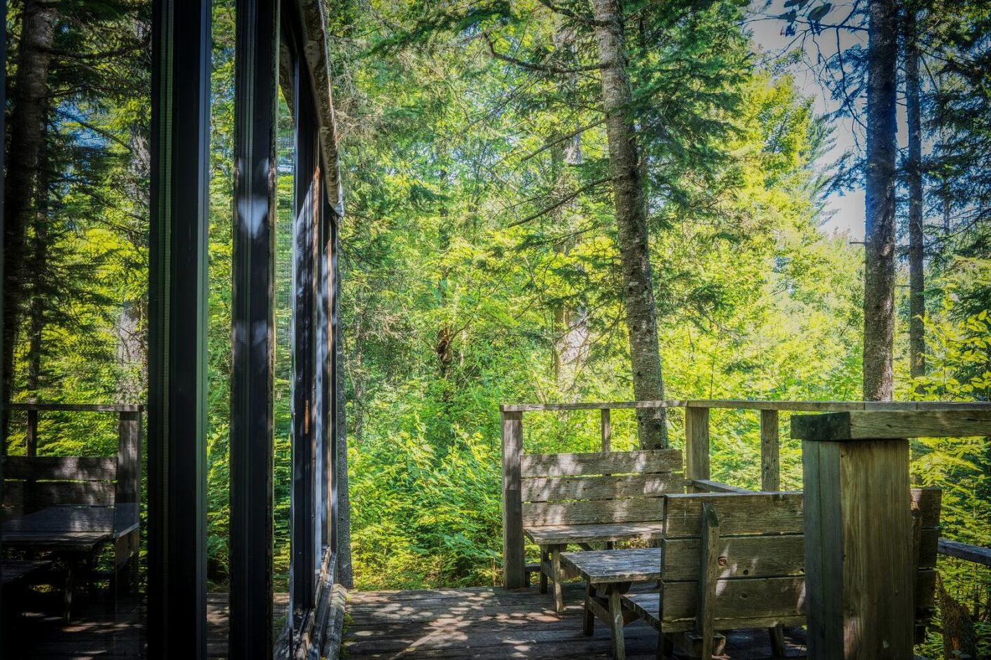 Secluded Tiny House Surrounded by Trees for a Peaceful Escape in Nature near Harrington, Quebec