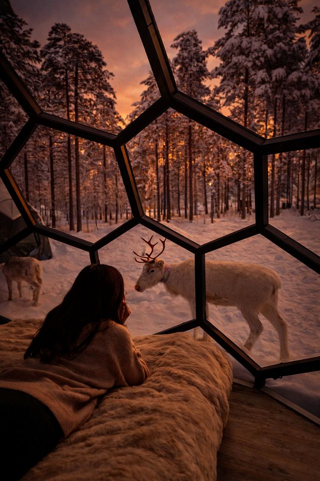 Unique Arctic Igloo Experience with Stunning Aurora Views in Norrbotten, Sweden