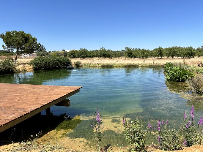 Bell Tents (Portugal, Moncarapacho, Faro District)