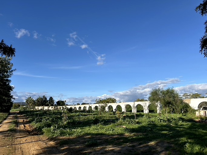 Bell Tents (Portugal, Moncarapacho, Faro District)