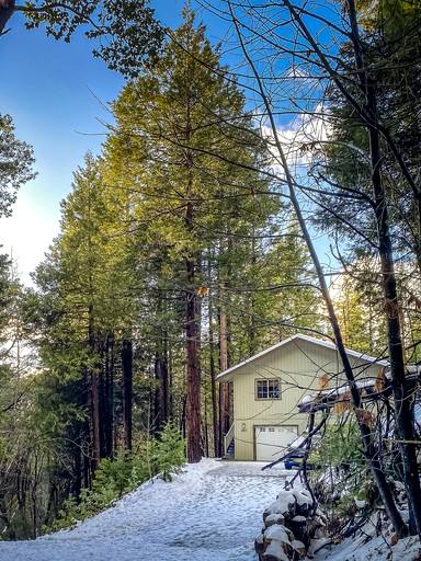 Cabins (United States of America, Pioneer, California)