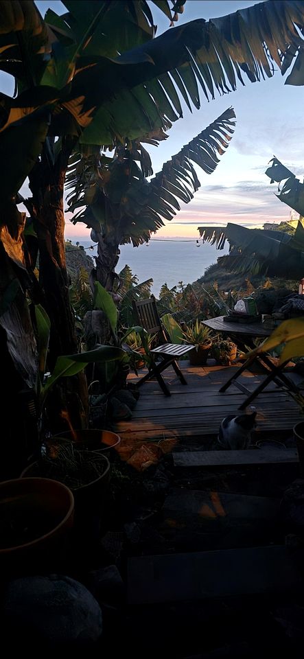 Romantic Bell Tent on a Lush Banana Plantation for an Incredible Glamping Getaway in Madeira, Portugal