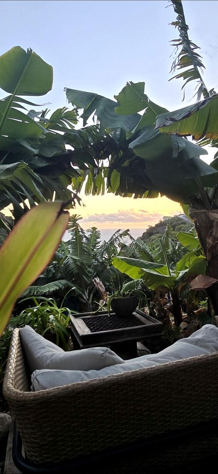 Romantic Bell Tent on a Lush Banana Plantation for an Incredible Glamping Getaway in Madeira, Portugal