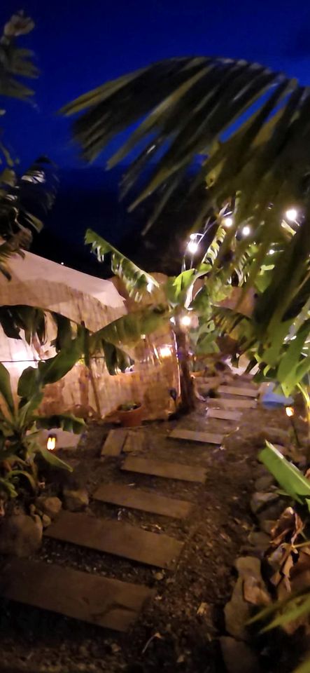 Romantic Bell Tent on a Lush Banana Plantation for an Incredible Glamping Getaway in Madeira, Portugal