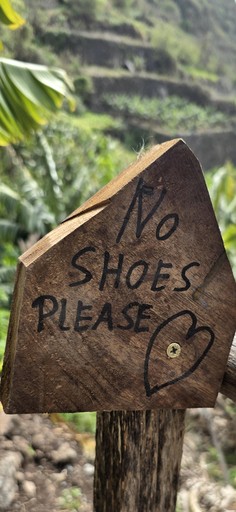 Bell Tents (Portugal, Ponta do Sol, Madeira)
