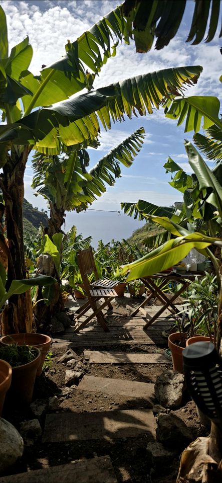 Romantic Bell Tent on a Lush Banana Plantation for an Incredible Glamping Getaway in Madeira, Portugal
