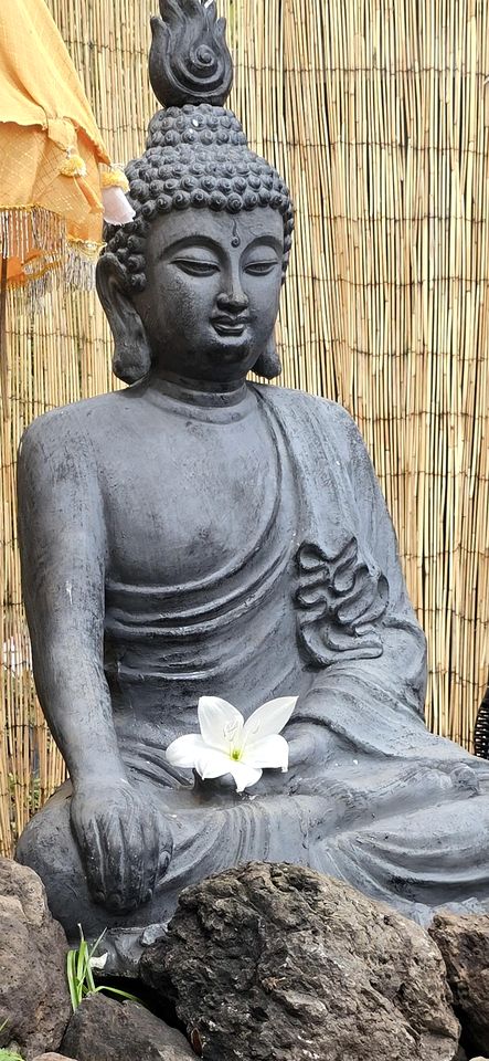 Romantic Bell Tent on a Lush Banana Plantation for an Incredible Glamping Getaway in Madeira, Portugal