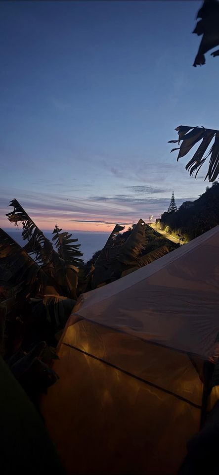 Romantic Bell Tent on a Lush Banana Plantation for an Incredible Glamping Getaway in Madeira, Portugal