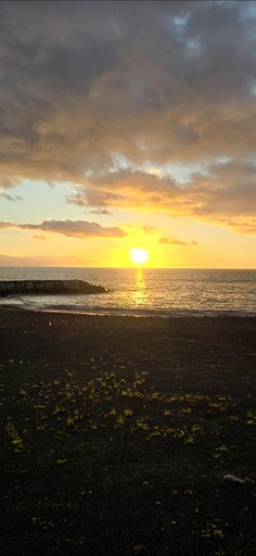 Bell Tents (Portugal, Ponta do Sol, Madeira)