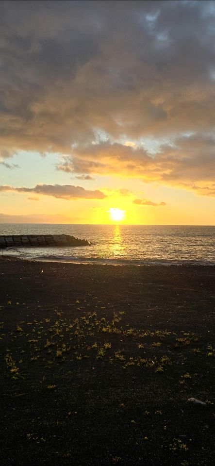 Romantic Bell Tent on a Lush Banana Plantation for an Incredible Glamping Getaway in Madeira, Portugal