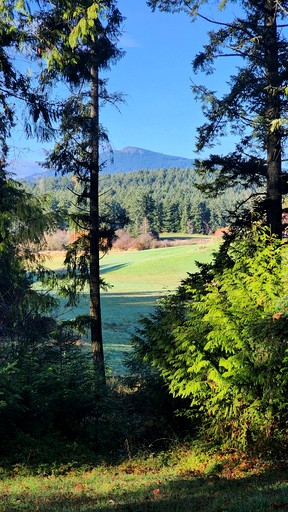 Caravans (Canada, Duncan, British Columbia)