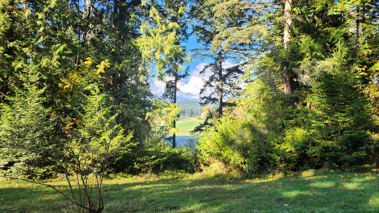 Vacation Rentals (Canada, Duncan, British Columbia)
