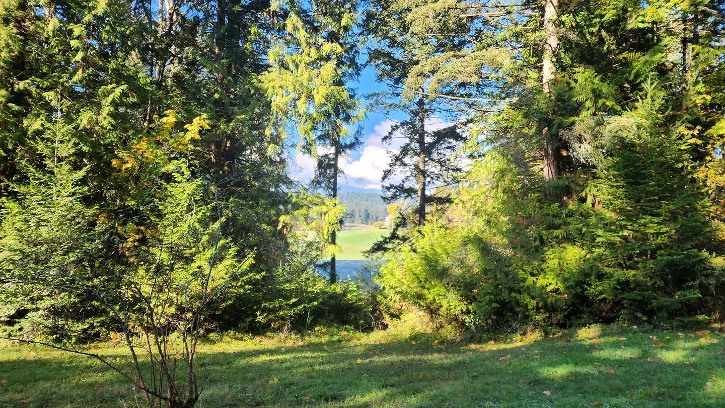 Beautiful Unique Vacation Rental with Incredible Outdoor Space Including Hot Tub, Outdoor Kitchen, and Forest Views in Duncan, British Columbia