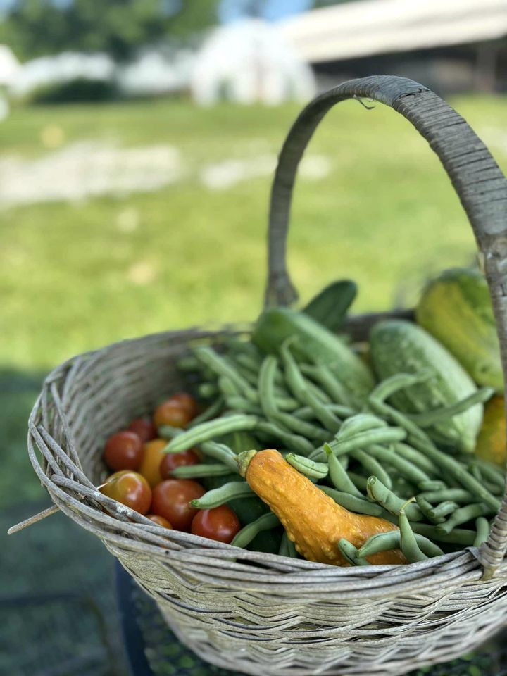 Elegant Yurt with Mountain Views & Private Pond | Unique Stay near Cherokee Mountains, Old Fort, Tennessee
