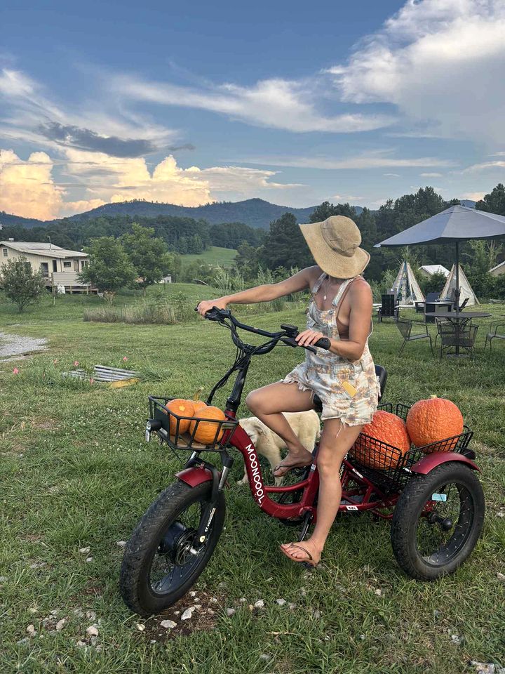 Elegant Yurt with Mountain Views & Private Pond | Unique Stay near Cherokee Mountains, Old Fort, Tennessee