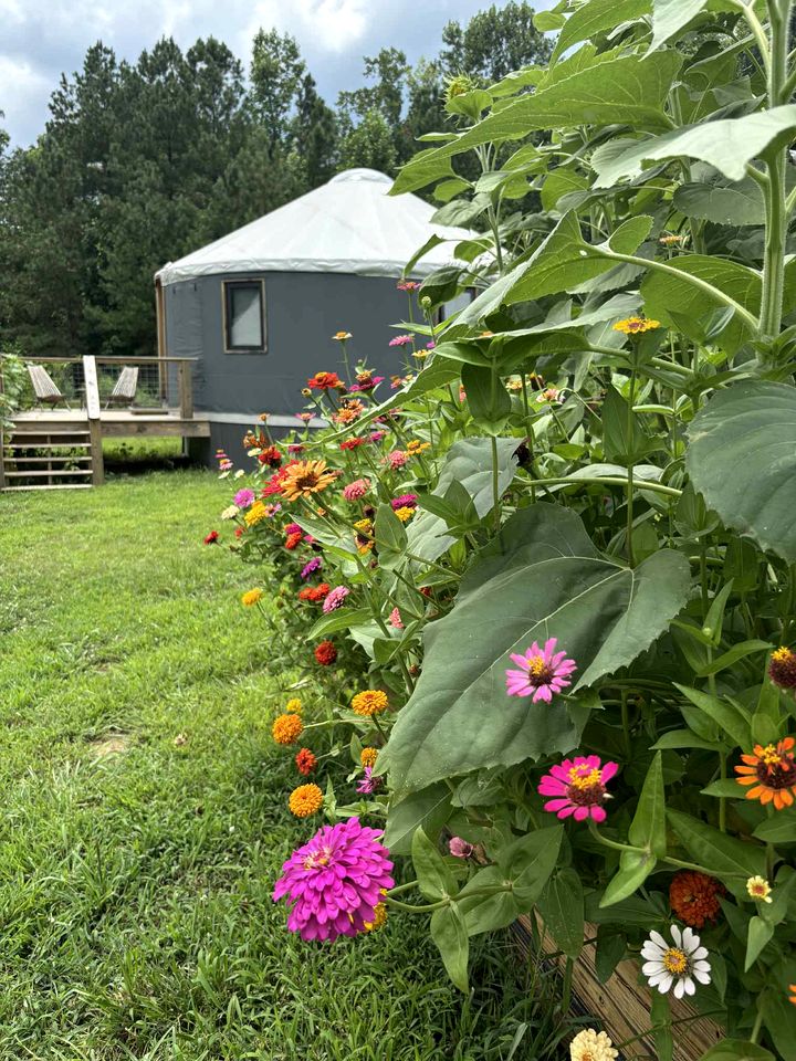 Elegant Yurt with Mountain Views & Private Pond | Unique Stay near Cherokee Mountains, Old Fort, Tennessee