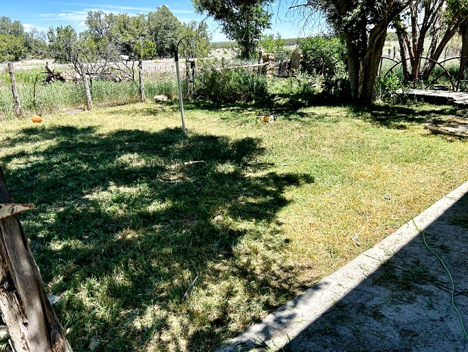 Cabins (United States of America, Fence Lake, New Mexico)
